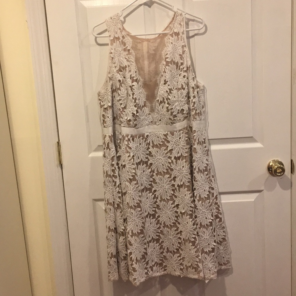 plus Size Adrianna Papell Dress